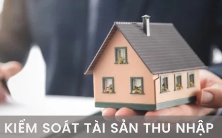 Một số thách thức và giải pháp đối với việc kiểm soát tài sản, thu nhập của người có chức vụ, quyền hạn ở Việt Nam hiện nay