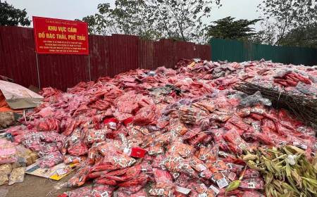 Đổ hàng tấn bánh kẹo ra bãi rác: Chế tài xử phạt ra sao?