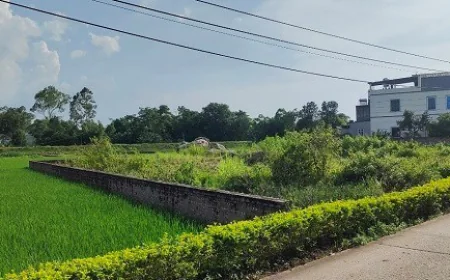 Thủ tục gia hạn sử dụng đất khi hết thời hạn sử dụng đất