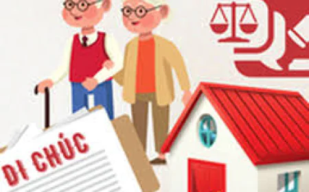 Bà tôi mất không để lại di chúc, vợ bác đòi chia đất được không?