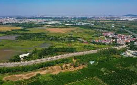 Đất chưa có sổ đỏ muốn chia thừa kế phải làm gì?