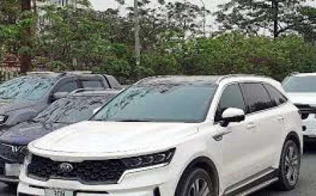 Mua bán ô tô, xe máy tiền tỷ: Có cần giấy xác nhận độc thân?