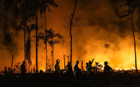 Trả xe đã thuê tại sân homestay, sau đó mất trộm, có phải bồi thường?