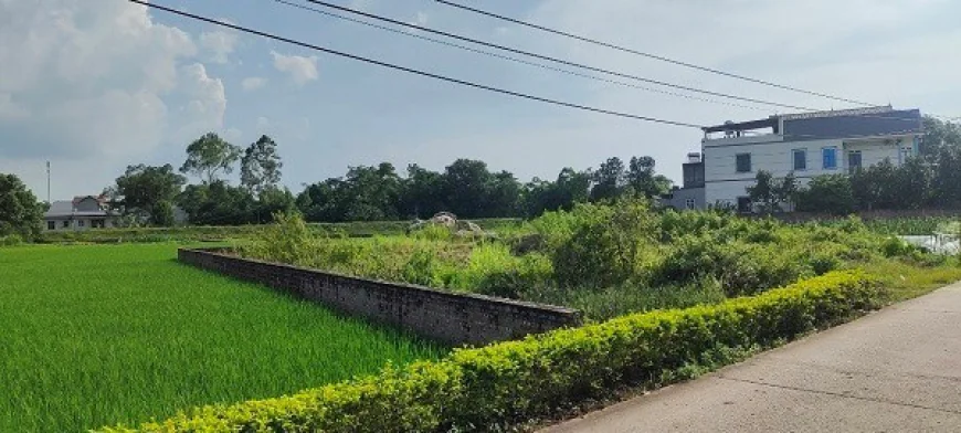 Thủ tục gia hạn sử dụng đất khi hết thời hạn sử dụng đất