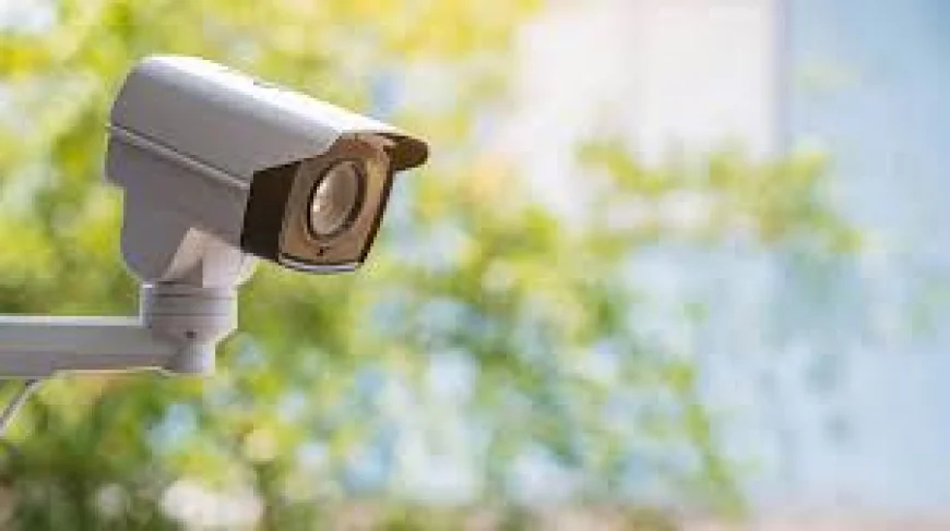 Hàng xóm gắn camera trên cây ở trước cửa nhà tôi, tôi gỡ bỏ được không?