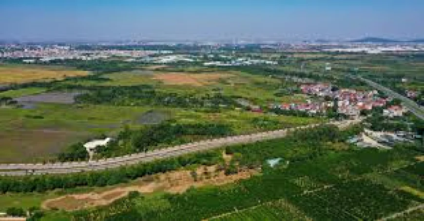 Đất chưa có sổ đỏ muốn chia thừa kế phải làm gì?