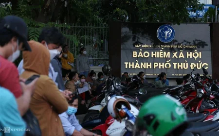 Có phải từ 1/7, hộ kinh doanh không đóng BHXH bị phạt 75 triệu đồng?