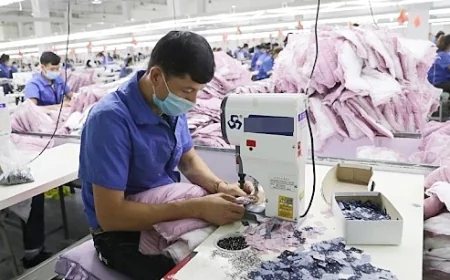 Chưa đủ tuổi nghỉ hưu song đóng BHXH 23 năm thì có được rút một lần?