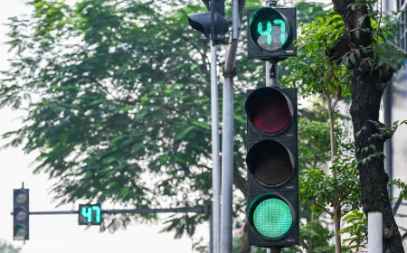 Đèn giao thông chuyển xanh, không đi có sao không?