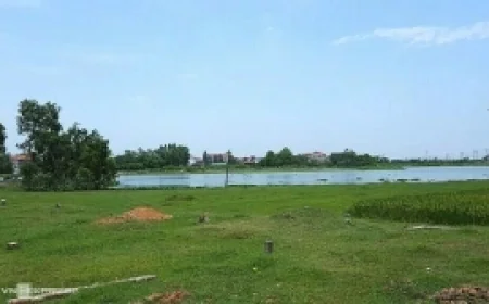 Có được miễn tiền chuyển mục đích sử dụng đất nông nghiệp trong khu dân cư?