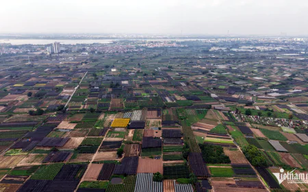 Mua nhà 2 năm giờ vẫn là bãi đất trống, làm sao lấy lại tiền?