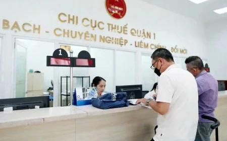 Cách kiểm tra, xử lý khi bị tạm hoãn xuất cảnh do nợ thuế