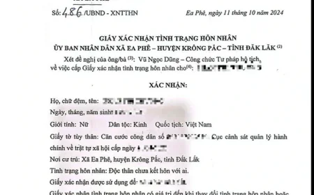 TP.HCM với chiến dịch 90 ngày đêm ‘cắt giảm thủ tục xác nhận tình trạng hôn nhân’