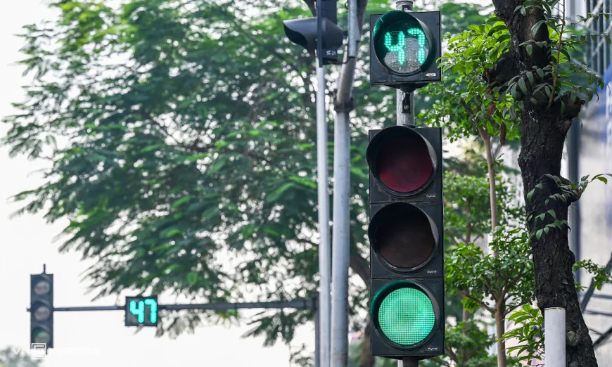 Đèn giao thông chuyển xanh, không đi có sao không?