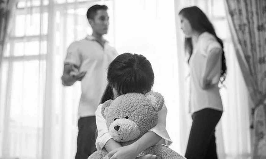 Phải làm gì khi phát hiện nuôi con của người khác?