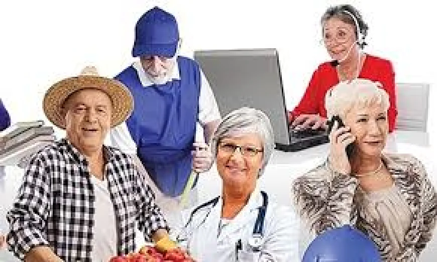 Ký hợp đồng với người nghỉ hưu, công ty có phải đóng bảo hiểm xã hội?
