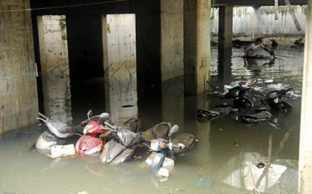 Xe vi phạm hỏng hóc vì bãi giữ ngập nước liệu có được đền bù?