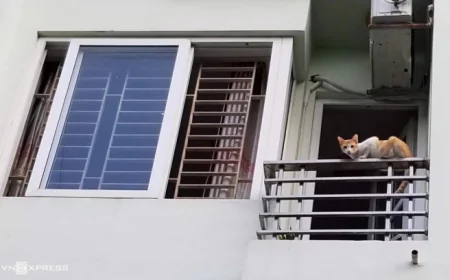 Đã xây hết đất, có được trổ cửa sổ sang nhà hàng xóm?