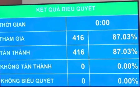 Quốc hội thông qua nhiều quy định mới về nhập, trở lại quốc tịch Việt Nam