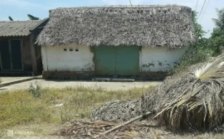 Người gây tai nạn có buộc phải bán nhà để bồi thường?