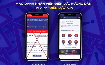 Lợi dụng sáp nhập, giả mạo nhân viên điện lực lừa đảo bị xử lý như thế nào?