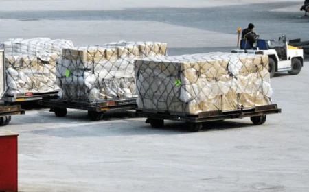 Vận chuyển hàng hóa nhập lậu bị xử lý như thế nào?