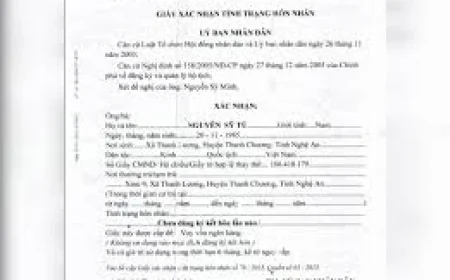 Mẹ ruột xin giấy xác nhận độc thân cho con gái ở nước ngoài được không?