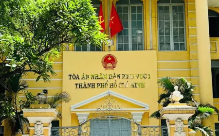 Tòa nào giải quyết vụ việc phá sản, sở hữu trí tuệ?