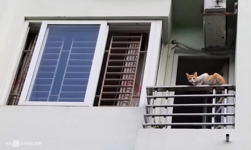 Đã xây hết đất, có được trổ cửa sổ sang nhà hàng xóm?