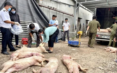 Bán thịt heo bẩn, người ăn bị ngộ độc có bị xử lý không?