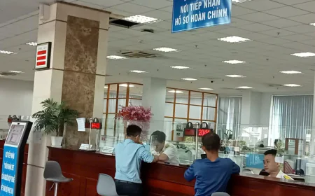 Người cho thuê nhà, văn phòng phải khai báo và nộp những loại thuế nào?