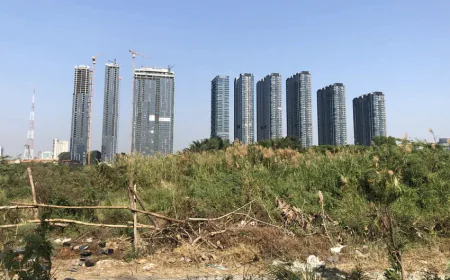 Sửa đổi, bổ sung một số quy định về đất đai