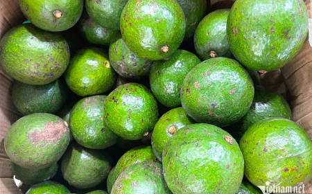 Bán nông sản thu 500 triệu đồng/tháng, có cần đăng ký hộ kinh doanh?