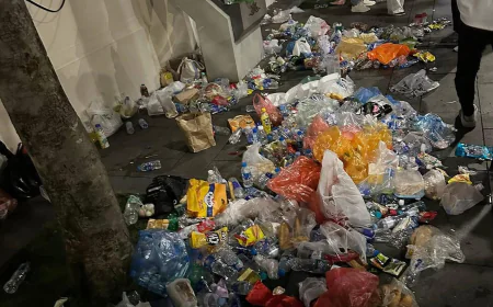 Đi xem diễu binh mà xả rác bừa bãi, người vi phạm có thể bị phạt bao nhiêu tiền?