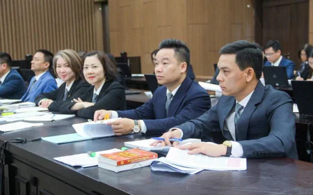 Luật sư công sẽ làm gì, quản lý ra sao?