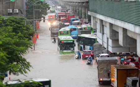 Nghỉ làm do bão, người lao động có được hưởng lương?