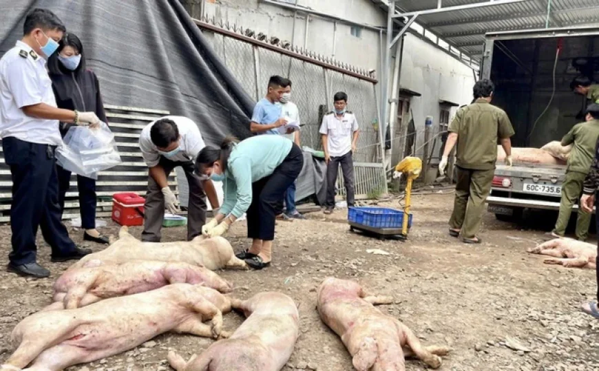 Bán thịt heo bẩn, người ăn bị ngộ độc có bị xử lý không?