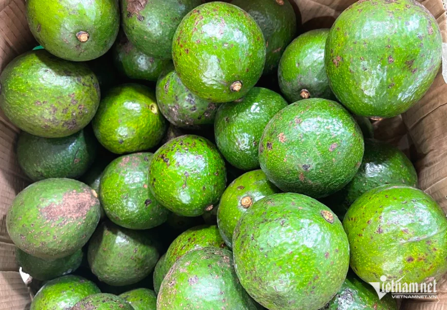 Bán nông sản thu 500 triệu đồng/tháng, có cần đăng ký hộ kinh doanh?