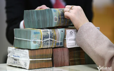 Bị phạt hàng trăm triệu đồng vì quên khai thuế, có được xin giảm và trả dần?