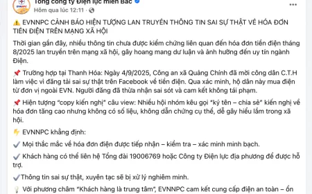 Đăng tin sai sự thật liên quan hóa đơn tiền điện trên mạng xã hội, bị xử lý ra sao?