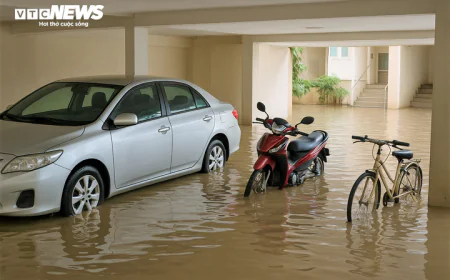 Xe hỏng do hầm chung cư ngập có được bồi thường thiệt hại không?