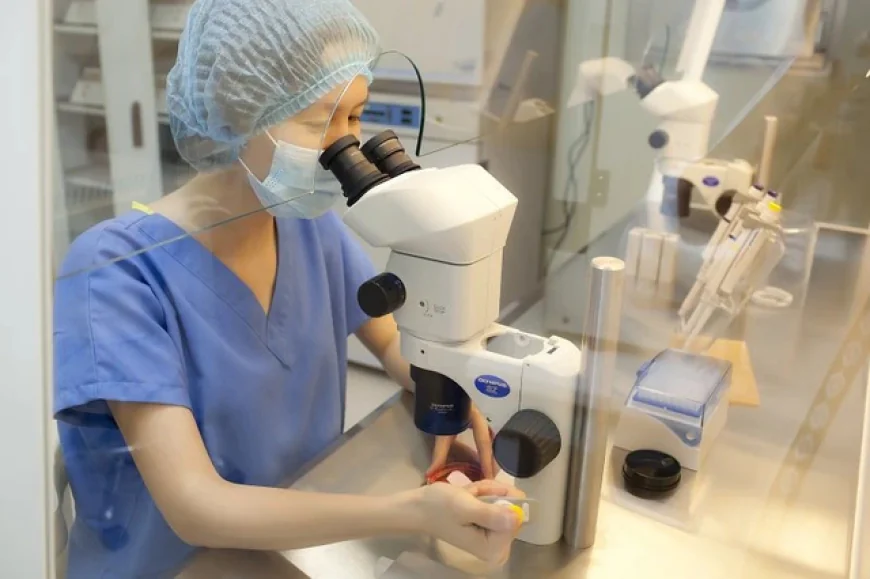 Những chính sách nổi bật có hiệu lực từ tháng 10/2025: Phụ nữ độc thân được quyền sinh con bằng IVF